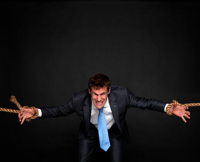 Battle of the Brains