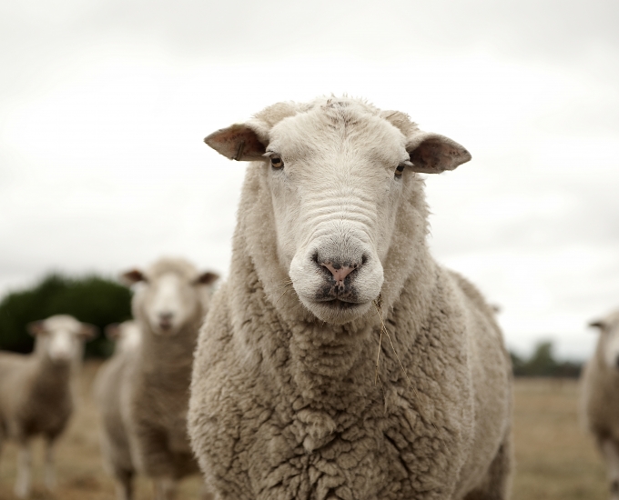 The Perils of Shorthand