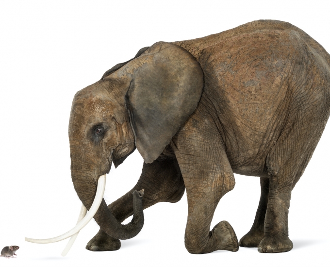 Does size really matter?