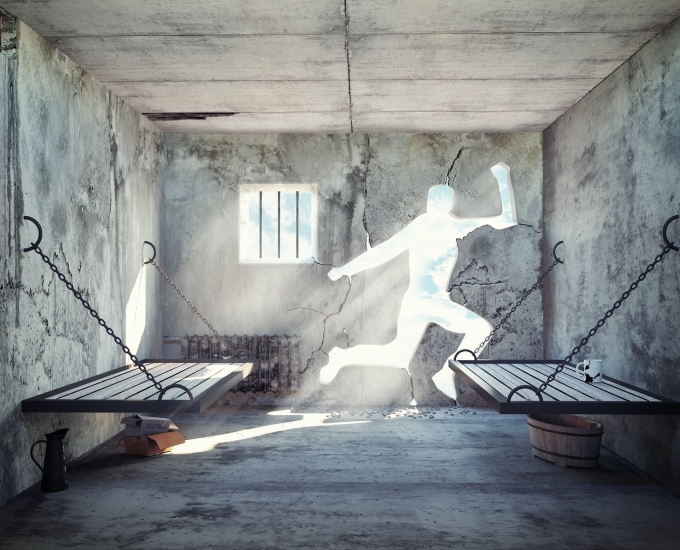 Set Your Insights Free