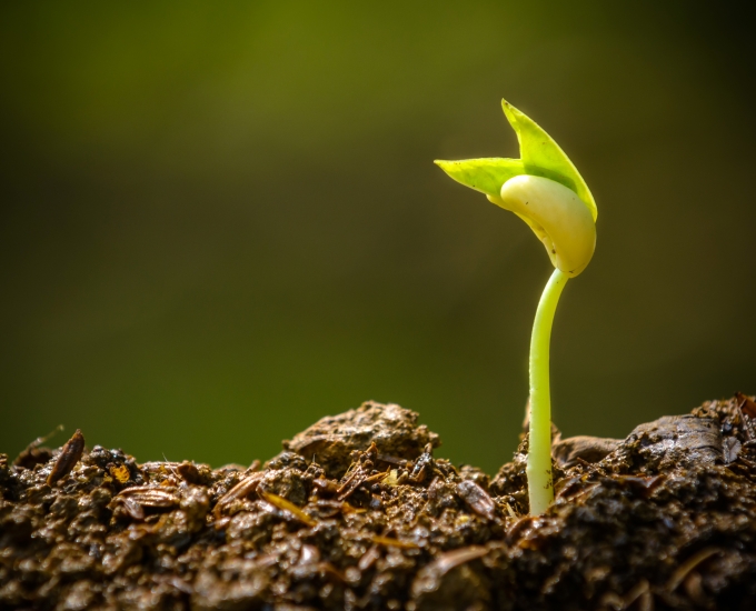 Nurturing Young Talent