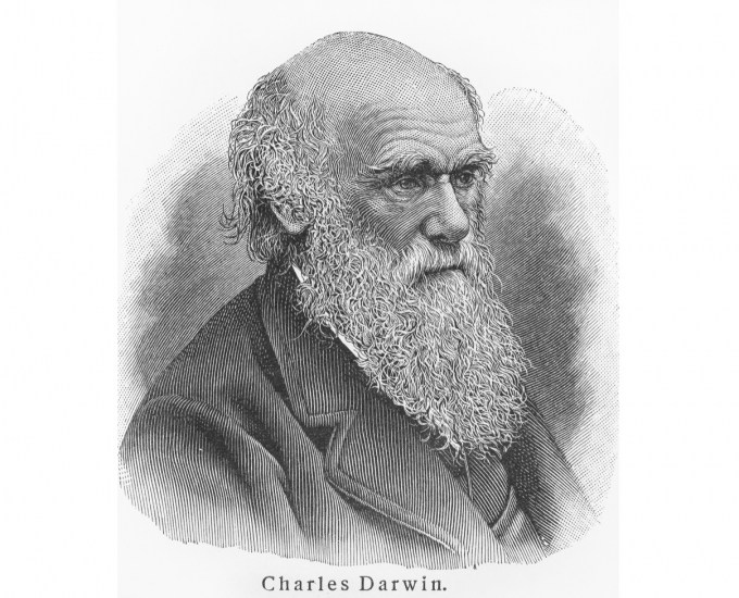 Lessons on Integration