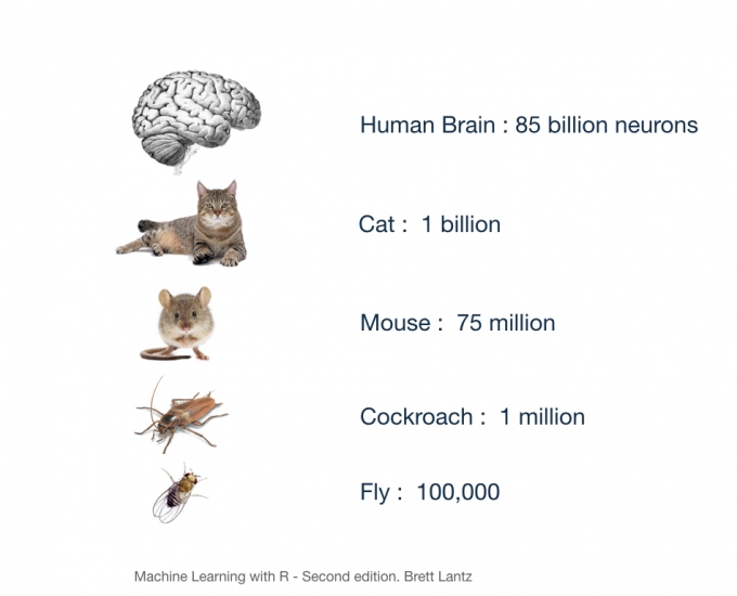 Are You Smarter Than a Neural Network?