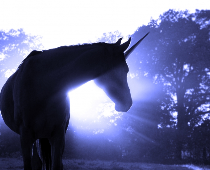 Searching for unicorns? We found them.