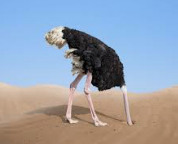 Don’t want to embrace AI?