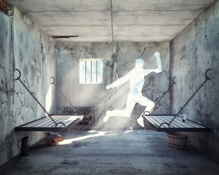 Set Your Insights Free