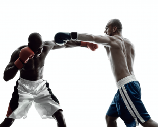 Machine Learning vs Statistics : Culture clash?