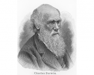 Lessons on Integration