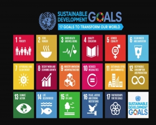 Data for Development