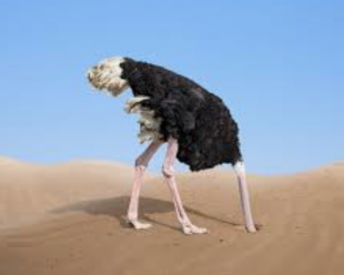 Don’t want to embrace AI?